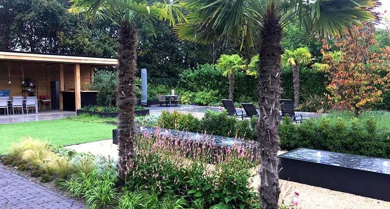 Exotische beplanting in villatuin in TIlburg, aangelegd door Van Hout Tuinprojecten in Rosmalen