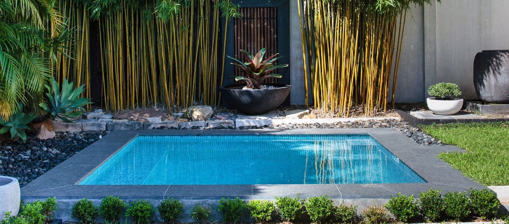 Terzijde moe aardolie Zwembad voor in een kleine tuin: Plunge Pool √ Van Hout Tuinprojecten