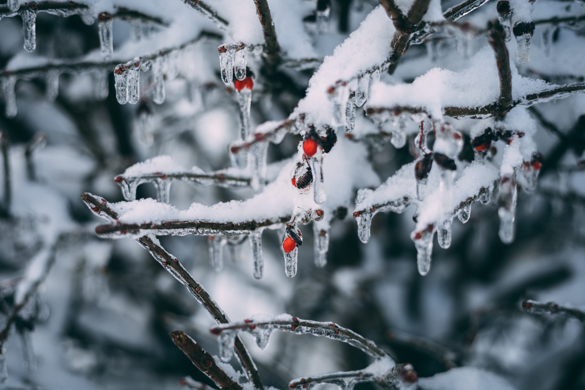 Tuinaanleg in de winter, kan dat? voorbereidingen