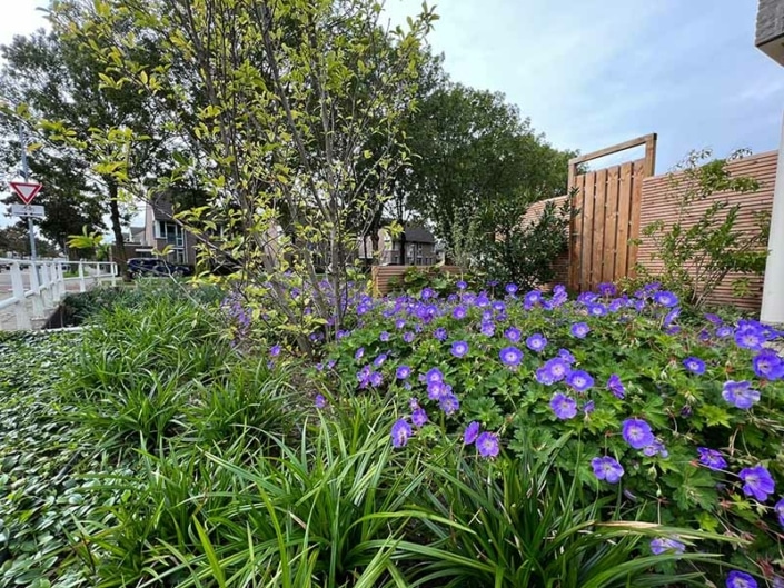Tips voor het aanleggen van een botanische tuin