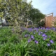 Van Hout Tuinprojecten geeft u tips voor het ontwerpen en aanleggen van een botanische tuin