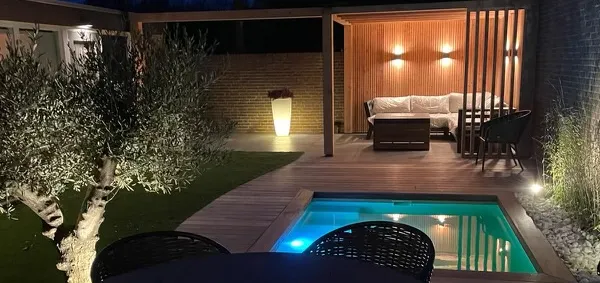 tuinaanleg moderne tuin in rosmalen met plunge pool