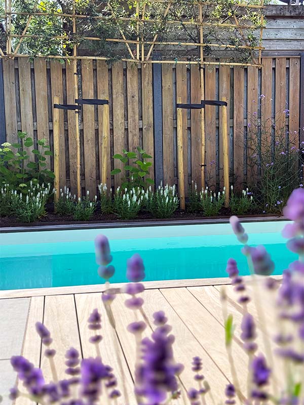 planten voor naast plunge pool