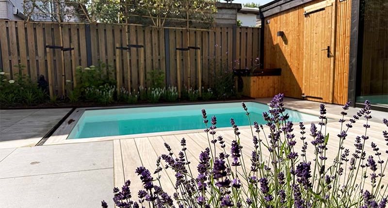 rustige tuin met zwembad