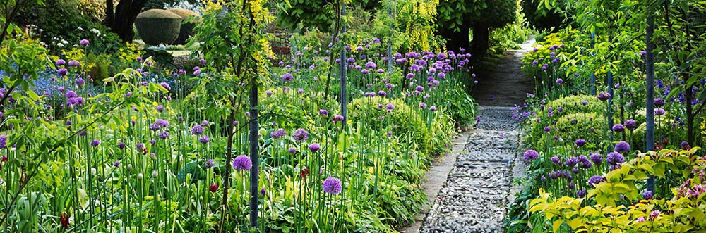 Tuintrend 2026: greens drenched tuin met volle beplanting